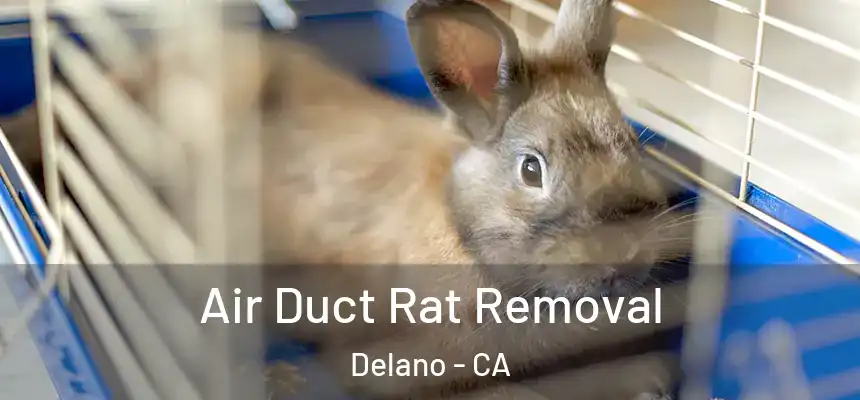Air Duct Rat Removal Delano - CA