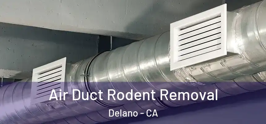 Air Duct Rodent Removal Delano - CA