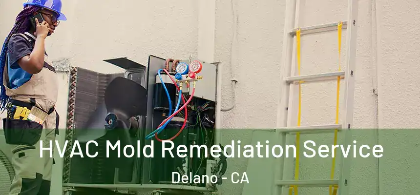 HVAC Mold Remediation Service Delano - CA