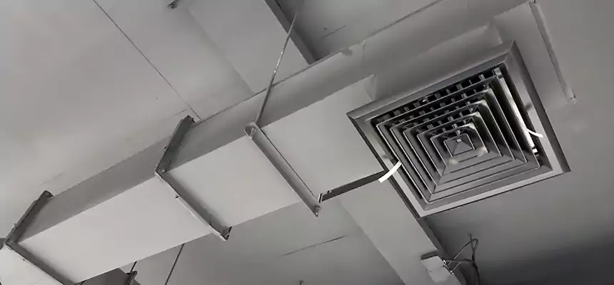 Our Rodent Droppings In Vents Services in Delano, CA