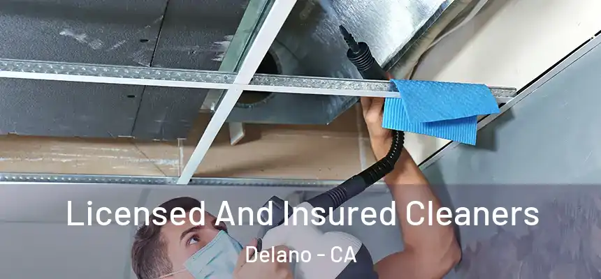  Licensed And Insured Cleaners Delano - CA