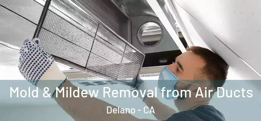 Mold & Mildew Removal from Air Ducts Delano - CA