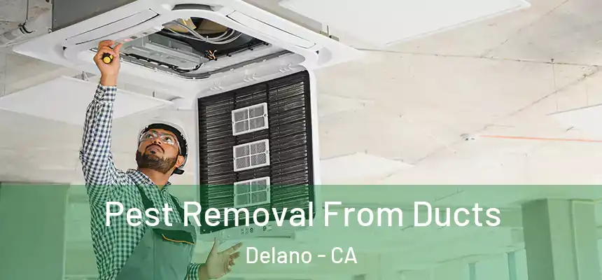  Pest Removal From Ducts Delano - CA