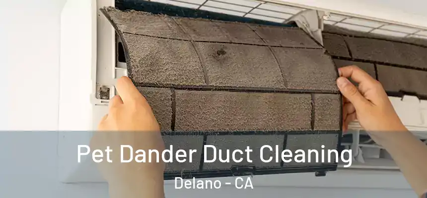 Pet Dander Duct Cleaning Delano - CA