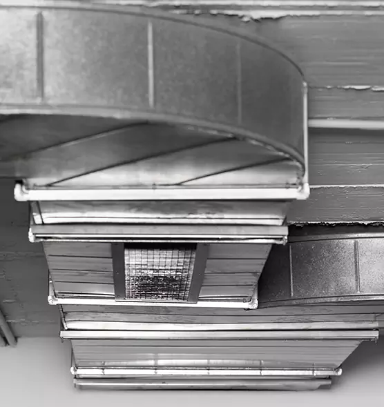 Professional Air Duct Pest Removal in Delano, CA