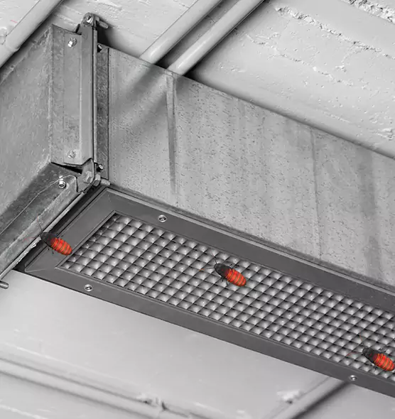Affordable Insect Removal from Air Ducts in Delano, CA