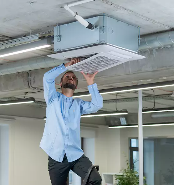 Advanced Rodent Droppings In Vents in Delano, CA