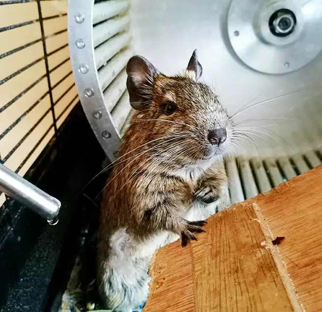 Why Homeowners & Businesses Trust Us Delano, CA